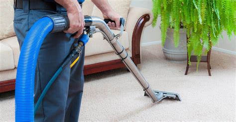 Effective Ways to Extend the Lifespan of Your Carpets with Blue Magic Carpet Cleaner Near Me